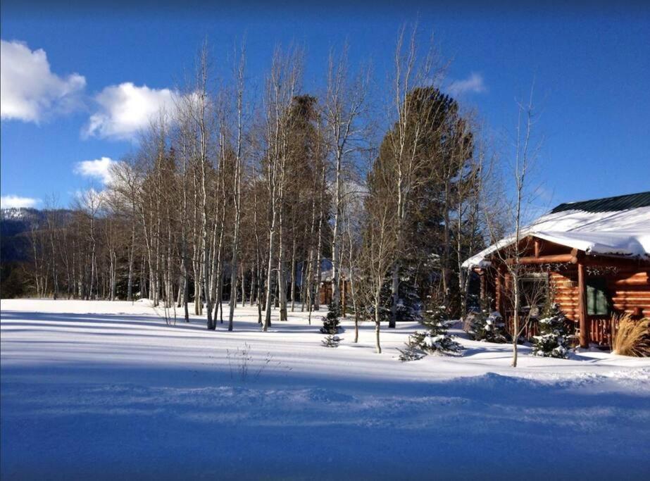 Lazy Fox Cabin غرب يلوستون المظهر الخارجي الصورة