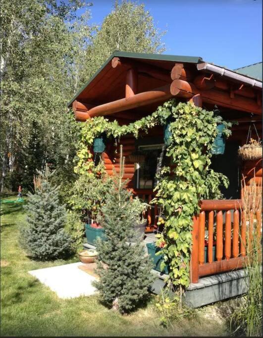 Lazy Fox Cabin غرب يلوستون المظهر الخارجي الصورة