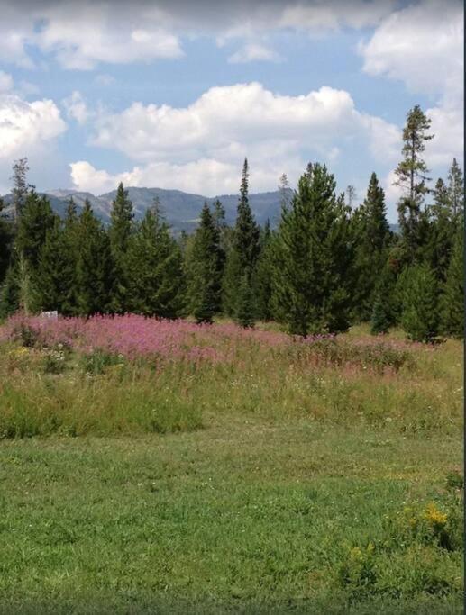 Lazy Fox Cabin غرب يلوستون المظهر الخارجي الصورة