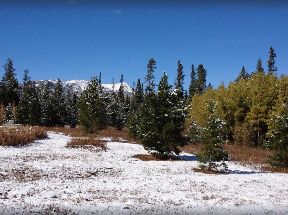 Lazy Fox Cabin غرب يلوستون المظهر الخارجي الصورة